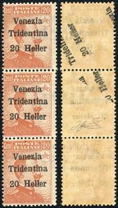 TRENTINO ALTO ADIGE 1918 - 20 h. su 20 cent. ... 