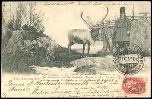 FINLANDIA/ITALIA 1901 - Redirected with ... 