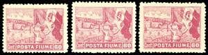 1919 - 60 cent. Posta Fiume, un esemplare ... 