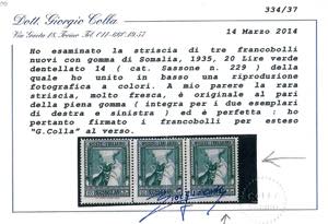 1935/38 - Pittorica, dent. 14, ... 