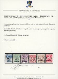 SEGNATASSE PER VAGLIA 1924 - Serie ... 