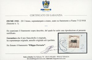 1918 - 20 f. soprastampato FIUME ... 