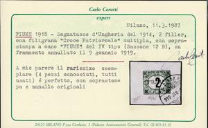 1918/19 - 1 f. verde e nero, ... 