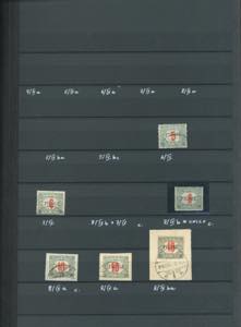 FIUME SEGNATASSE 1918/19 - ... 