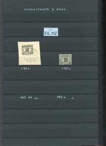 FIUME SEGNATASSE 1918/19 - ... 