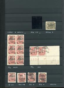 FIUME SEGNATASSE 1921 - Collezione ... 