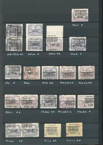 FIUME SEGNATASSE 1921 - Collezione ... 