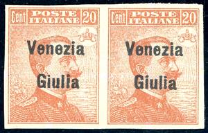 VENEZIA GIULIA 1918/19 - 20 cent. arancio, ... 