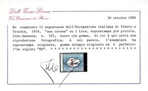 TRENTO E TRENTO SEGNATASSE 1919 - ... 