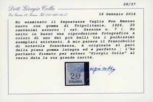 SEGNATASSE VAGLIA 1926 - 20 cent., ... 