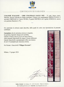 1922 - 25 cent. bruno rosso, saggi ... 