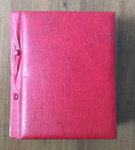 PREFILATELICHE 1800/1860 - Raccoglitore con ... 