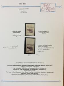 LUOGOTENENZA 1945 - Bella ... 