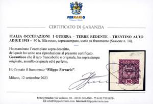 TRENTINO ALTO ADIGE 1918 - 90 h. ... 