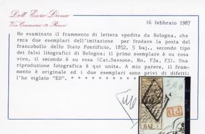 FALSI PER POSTA 1855 - 5 baj rosa ... 