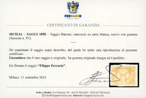 1858 - Saggio Barone, camoscio su ... 