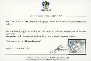 1858 - Saggio Barone, grigio su ... 