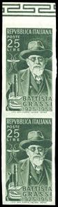 1955 - 25 lire Grassi, coppia non dentellata ... 