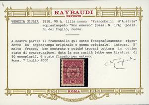 VENEZIA GIULIA 1918 - 90 h. lilla ... 