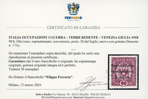 VENEZIA GIULIA 1918 - 90 h. lilla ... 