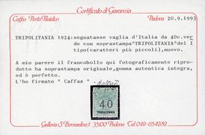 SEGNATASSE VAGLIA 1924 - 40 cent. ... 