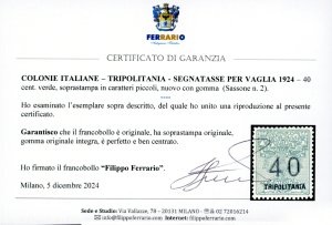 SEGNATASSE VAGLIA 1924 - 40 cent. ... 