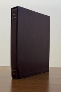 NAPOLI 1858/1860 - Venticinque lettere ed ... 