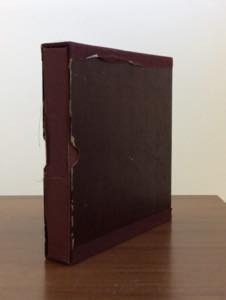 REGNO DITALIA 1862/1945 - Ben avviata ... 