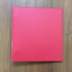 ALBANIA 1913/1944 - Inizio di collezione di ... 