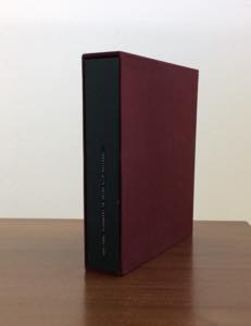 AUSTRIA 1850/1880 - Collezione di frammenti ... 