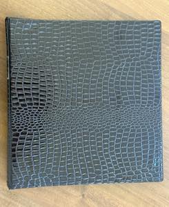 GERMANIA COLONIE 1884/1916 - Avviata ... 