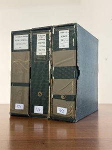 PAESI DELLEST EUROPA 1870/1975 - Collezioni ... 