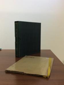 ONU GINEVRA 1969/1985 - Collezione di ... 