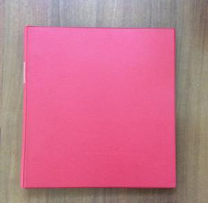 PARAGUAY 1870/1963 - Collezione di ... 