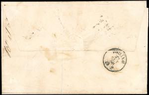 1858 - 3 baj bruno grigiastro ... 