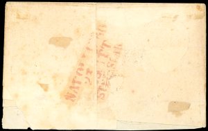 1860 - 2 grana violetto, falso per ... 