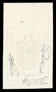 MERANO 1918 - 10 h. verde, COLORE ... 