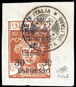 FIUME ESPRESSI 1920 - 30 cent. su 20 cent. ... 