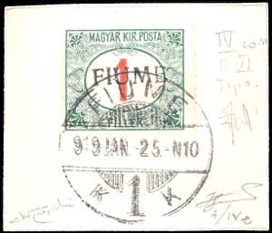 FIUME SEGNATASSE 1918 - 1 f. cifre rosse, ... 