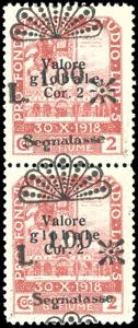 FIUME SEGNATASSE 1921 - 1 lira su 2 cor. ... 