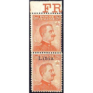1918 - 20 cent. Michetti, coppia verticale ... 