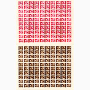 LITORALE SLOVENO 1946 - Cattedrale di ... 