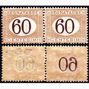 1924 - 60 cent. arancio e bruno (33), coppia ... 