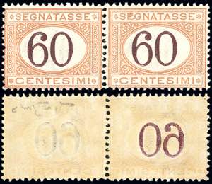 1924 - 60 cent. arancio e bruno (33), coppia ... 