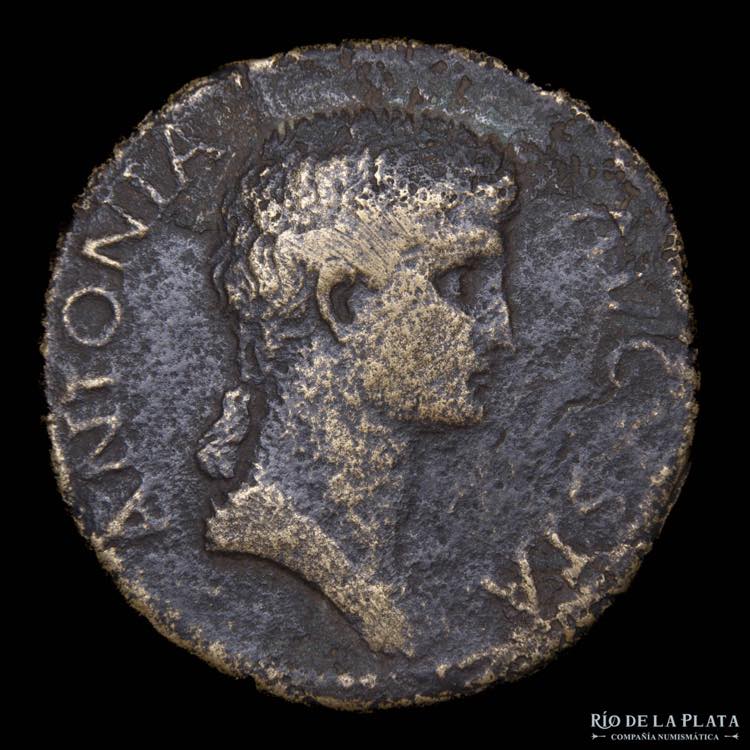 Antonia (41-50AD) AE Dupondius. ... 