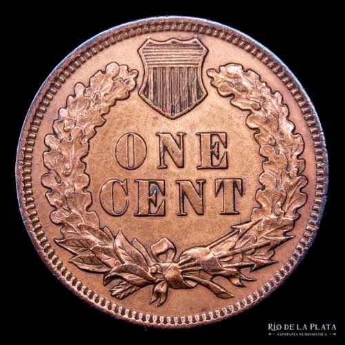USA. 1 Penny 1901. Indian Head. ... 
