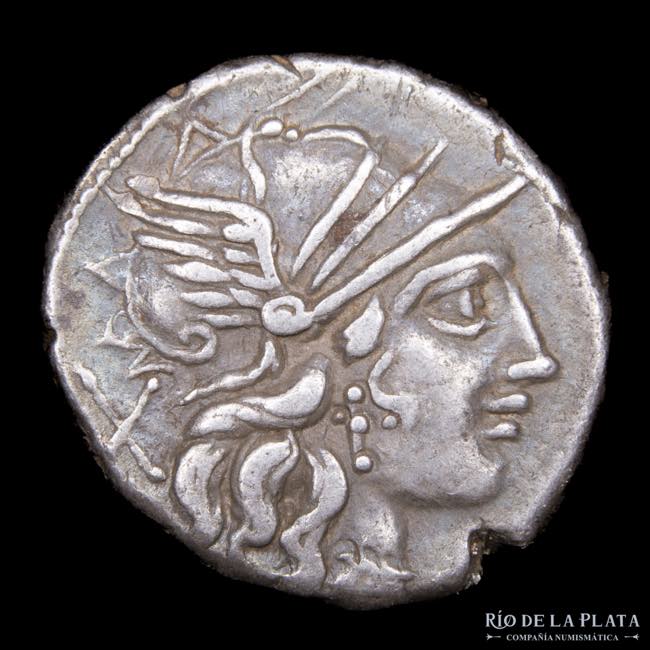 Roman Republic. C. Plutius 121BC, ... 