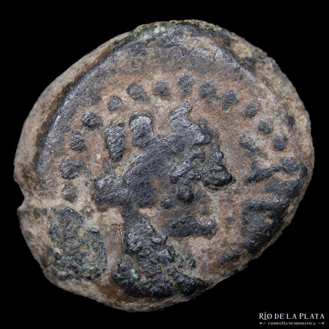 Palestine (Judaea) Askalon, 1st Century BC, ... 
