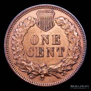 USA. 1 Penny 1901. Indian Head. CU; 19mm; ... 