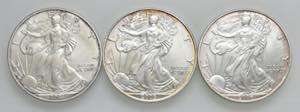 USA - Dollaro American Silver Eagle 2003, ... 